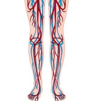 Localizarea venelor și arterelor la nivelul picioarelor
