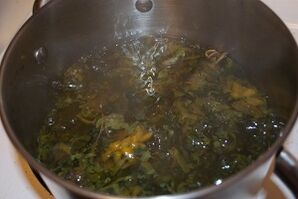 tratarea venelor varicoase cu decocturi